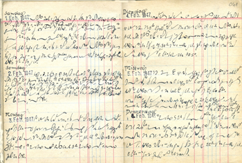 Transkription der Sillipp-Tagebücher fertiggestellt